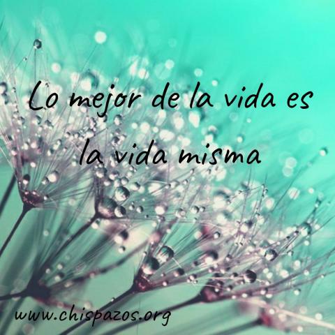 Lo mejor de la vida es la vida misma.