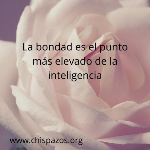 La bondad es el punto más elevado de la inteligencia